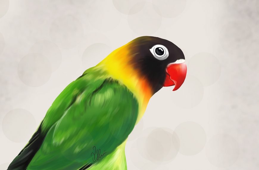Birds digital painting